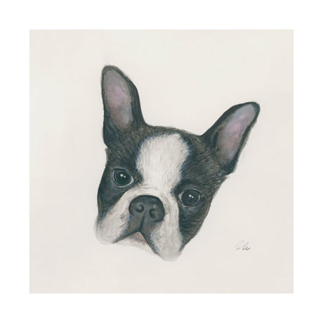 Floyd (Boston Terrier 1) by Mercana Studio a Hand Embellished Textured Canvas by Mercana at Eve Furniture
