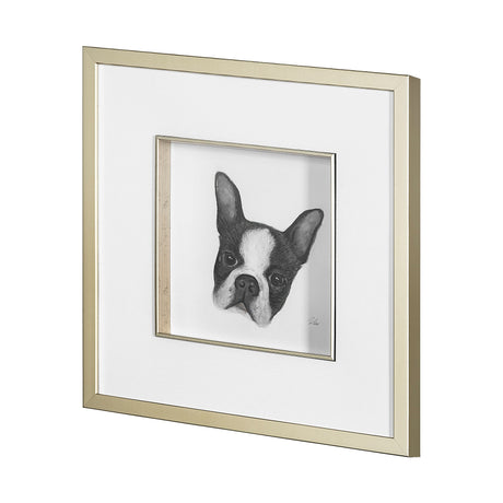 Floyd (Boston Terrier 1) by Mercana Studio Hand Embellished Framed Art Print Matted under Glass by Mercana at Eve Furniture