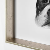 Floyd (Boston Terrier 1) by Mercana Studio Hand Embellished Framed Art Print Matted under Glass by Mercana at Eve Furniture
