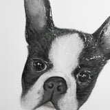 Floyd (Boston Terrier 1) by Mercana Studio Hand Embellished Framed Art Print Matted under Glass by Mercana at Eve Furniture