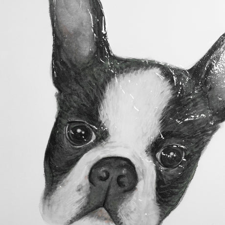 Floyd (Boston Terrier 1) by Mercana Studio Hand Embellished Framed Art Print Matted under Glass by Mercana at Eve Furniture