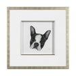 Floyd (Boston Terrier 1) by Mercana Studio Hand Embellished Framed Art Print Matted under Glass by Mercana at Eve Furniture