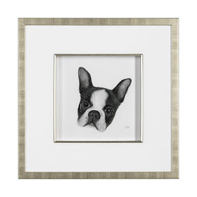 Floyd (Boston Terrier 1) by Mercana Studio Hand Embellished Framed Art Print Matted under Glass by Mercana at Eve Furniture