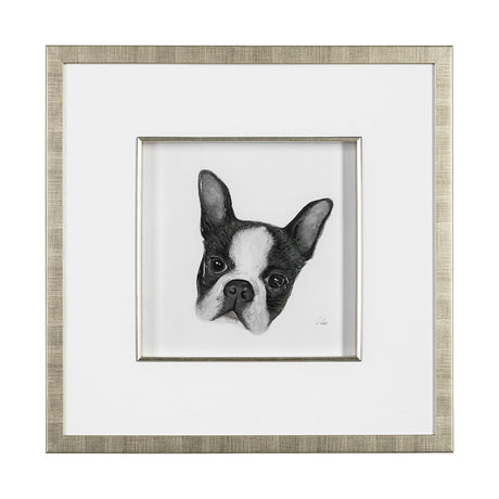 Floyd (Boston Terrier 1) by Mercana Studio Hand Embellished Framed Art Print Matted under Glass by Mercana at Eve Furniture