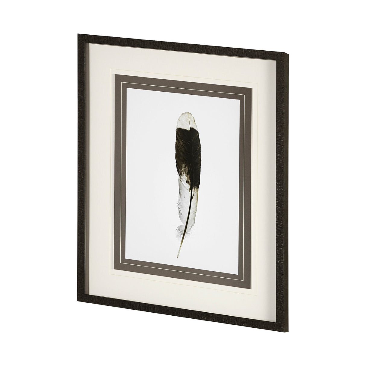 Flying solo by Nancy Crowell a Framed Art Print Matted under Glass by Mercana at Eve Furniture