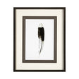 Flying solo by Nancy Crowell a Framed Art Print Matted under Glass by Mercana at Eve Furniture