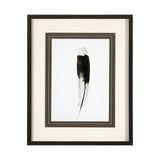 Flying solo by Nancy Crowell a Framed Art Print Matted under Glass by Mercana at Eve Furniture