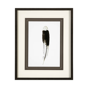 Flying solo by Nancy Crowell a Framed Art Print Matted under Glass by Mercana at Eve Furniture