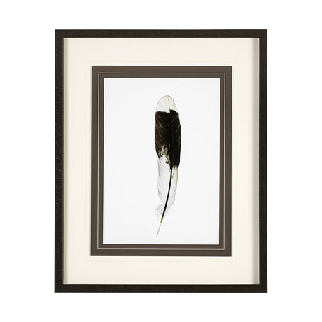 Flying solo by Nancy Crowell a Framed Art Print Matted under Glass by Mercana at Eve Furniture