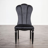 Melodi Parc Black Side Chair Set of 2