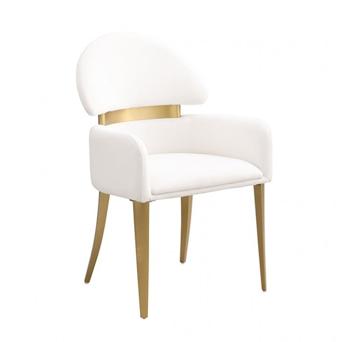 Northam White/Matte Gold Arm Chair Set of 2