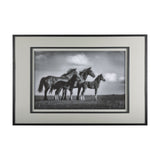 Focused by Mercana Studio a Framed Photo Art Print Matted under Glass by Mercana at Eve Furniture