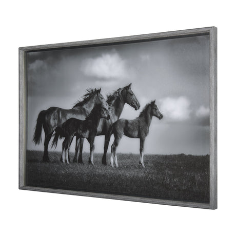 Focused by Mercana Studio a Hand Embellished Textured Framed Photo Art Print Matted under Glass by Mercana at Eve Furniture