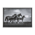 Focused by Mercana Studio a Hand Embellished Textured Framed Photo Art Print Matted under Glass by Mercana at Eve Furniture
