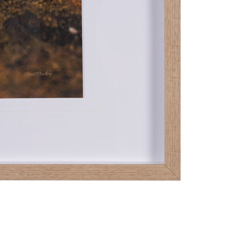 Fogo Island by Chad Mackay a Hand Embellished Framed Photo Art Print Matted under Glass by Mercana at Eve Furniture