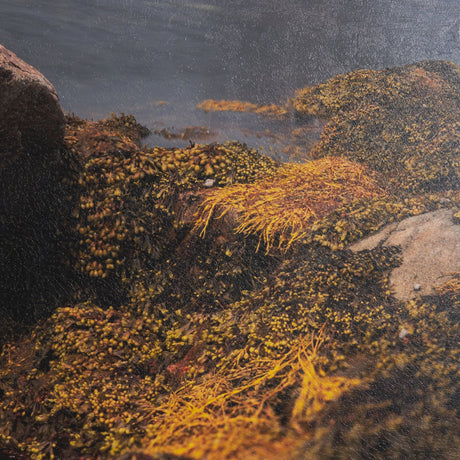Fogo Island by Chad Mackay a Hand Embellished Framed Photo Art Print Matted under Glass by Mercana at Eve Furniture