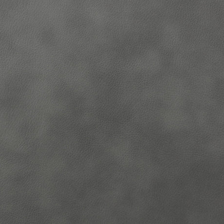 Foley Grey Upholstered Power Lift Recliner Chair by Coaster at Eve Furniture