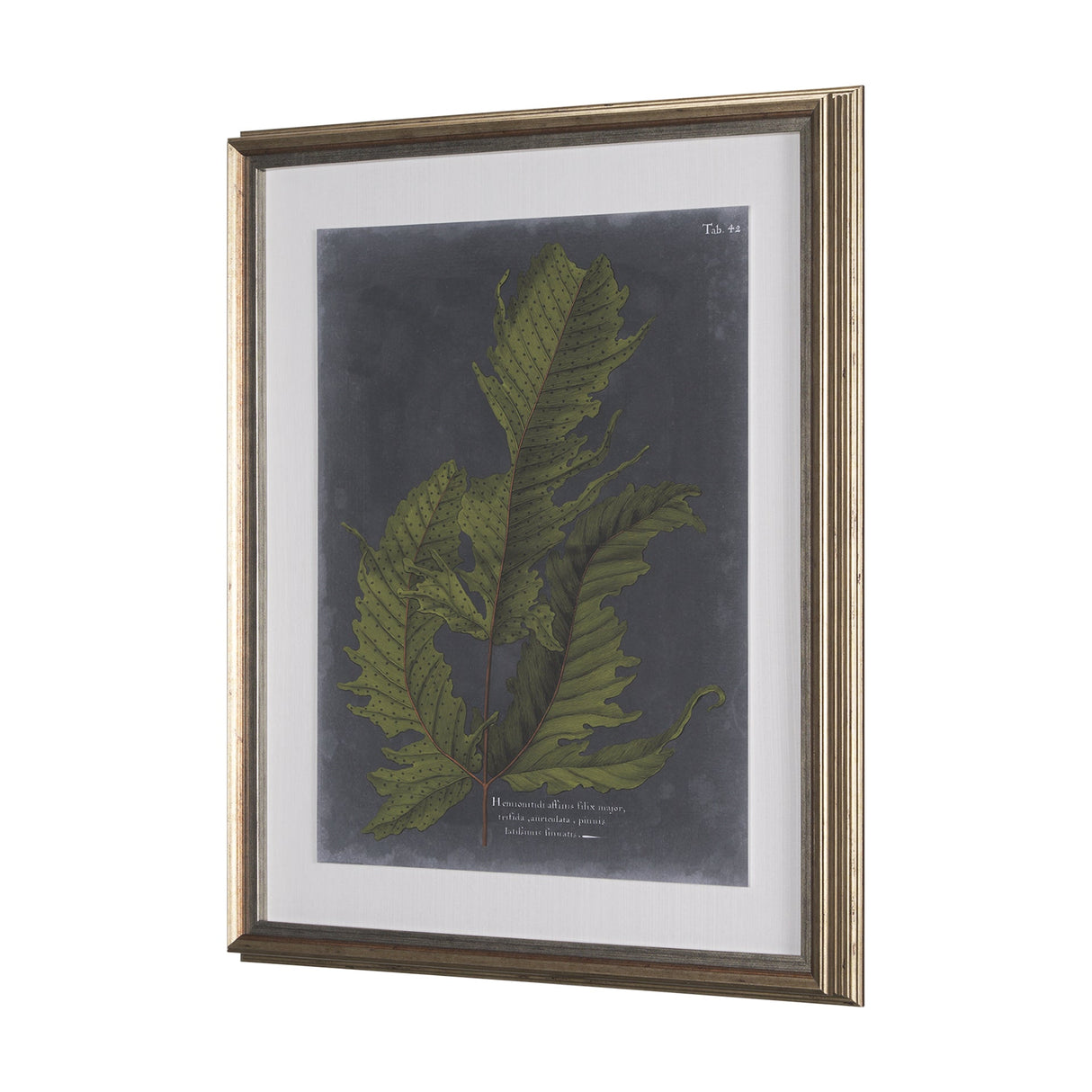 Foliage Dramatique I by Vision Studio Hand Embellished Textured Framed Art Print Matted under Glass by Mercana at Eve Furniture