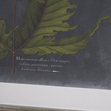 Foliage Dramatique II by Vision Studio Hand Embellished Textured Framed Art Print Matted under Glass by Mercana at Eve Furniture