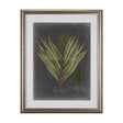 Foliage Dramatique II by Vision Studio Hand Embellished Textured Framed Art Print Matted under Glass by Mercana at Eve Furniture