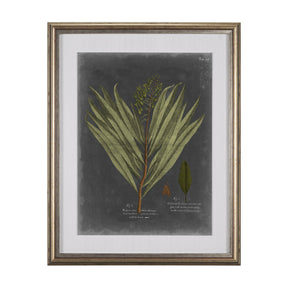 Foliage Dramatique II by Vision Studio Hand Embellished Textured Framed Art Print Matted under Glass by Mercana at Eve Furniture