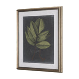 Foliage Dramatique III by Vision Studio Hand Embellished Textured Framed Art Print Matted under Glas by Mercana at Eve Furniture