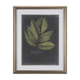 Foliage Dramatique III by Vision Studio Hand Embellished Textured Framed Art Print Matted under Glas by Mercana at Eve Furniture