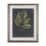 Foliage Dramatique III by Vision Studio Hand Embellished Textured Framed Art Print Matted under Glas by Mercana at Eve Furniture