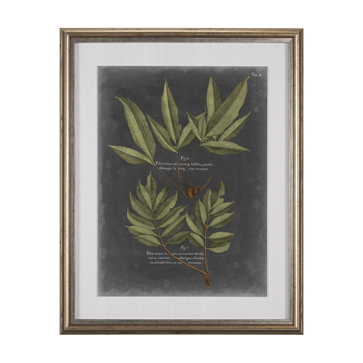 Foliage Dramatique IV by Vision Studio Hand Embellished Textured Framed Art Print Matted under Glass by Mercana at Eve Furniture