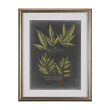 Foliage Dramatique IV by Vision Studio Hand Embellished Textured Framed Art Print Matted under Glass by Mercana at Eve Furniture