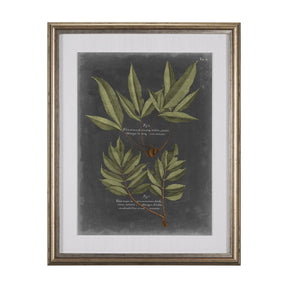 Foliage Dramatique IV by Vision Studio Hand Embellished Textured Framed Art Print Matted under Glass by Mercana at Eve Furniture