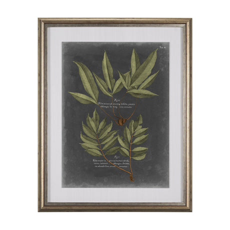 Foliage Dramatique IV by Vision Studio Hand Embellished Textured Framed Art Print Matted under Glass by Mercana at Eve Furniture
