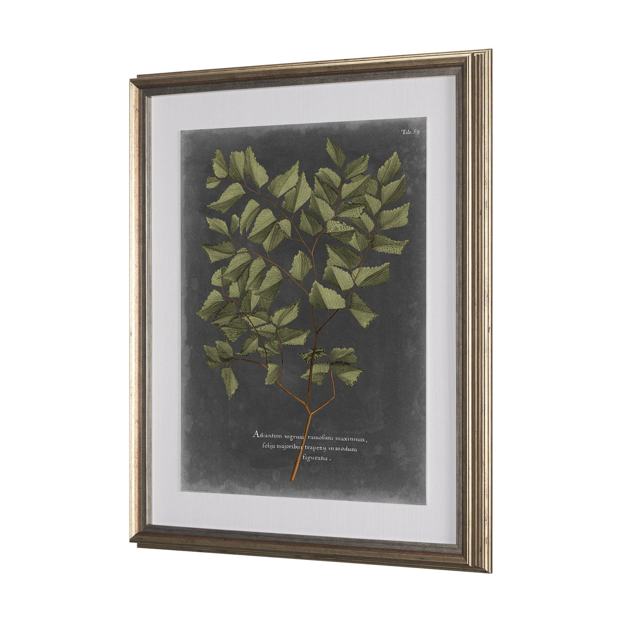 Foliage Dramatique V by Vision Studio Hand Embellished Textured Framed Art Print Matted under Glass by Mercana at Eve Furniture