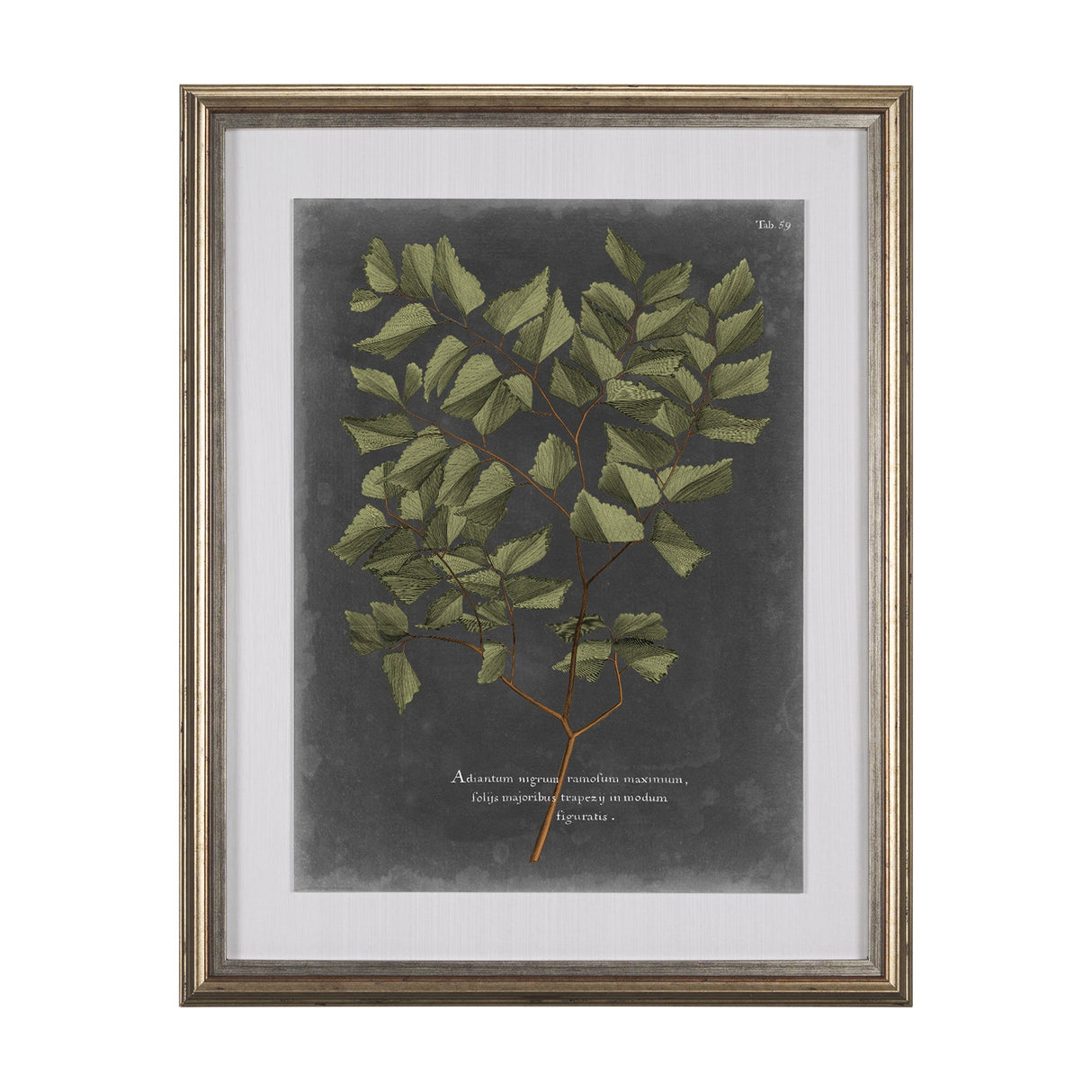 Foliage Dramatique V by Vision Studio Hand Embellished Textured Framed Art Print Matted under Glass by Mercana at Eve Furniture