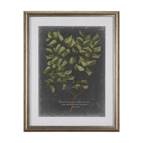 Foliage Dramatique V by Vision Studio Hand Embellished Textured Framed Art Print Matted under Glass by Mercana at Eve Furniture