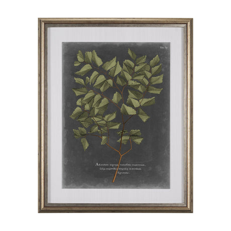 Foliage Dramatique V by Vision Studio Hand Embellished Textured Framed Art Print Matted under Glass by Mercana at Eve Furniture