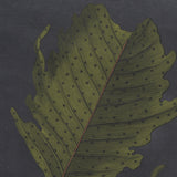 Foliage Dramatique VI by Vision Studio Hand Embellished Textured Framed Art Print Matted under Glass by Mercana at Eve Furniture