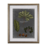 Foliage Dramatique VI by Vision Studio Hand Embellished Textured Framed Art Print Matted under Glass by Mercana at Eve Furniture