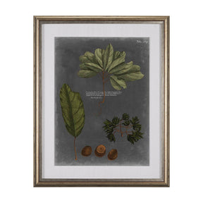 Foliage Dramatique VI by Vision Studio Hand Embellished Textured Framed Art Print Matted under Glass by Mercana at Eve Furniture