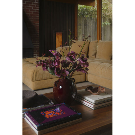 Folke Walnut Coffee Table by MOES at Eve Furniture