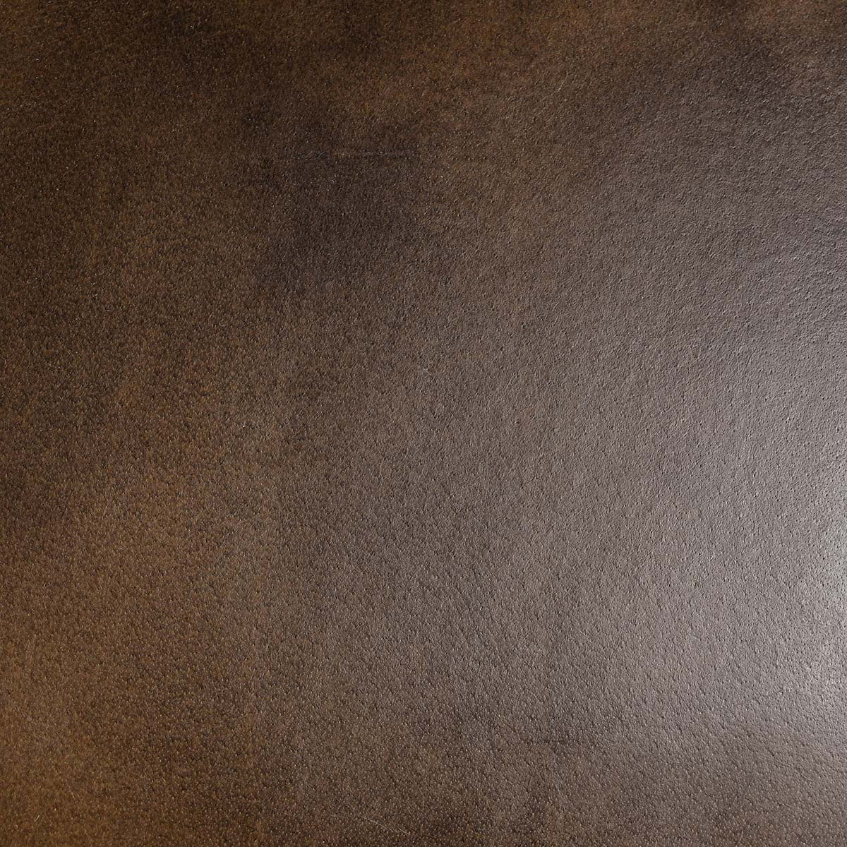 Fonda Truffle Brown Dining Chair by Classic Home at Eve Furniture