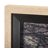 Forest Crossing by Mercana Studio a Hand Embellished Textured Framed Photo Art Print Matted under Gl by Mercana at Eve Furniture