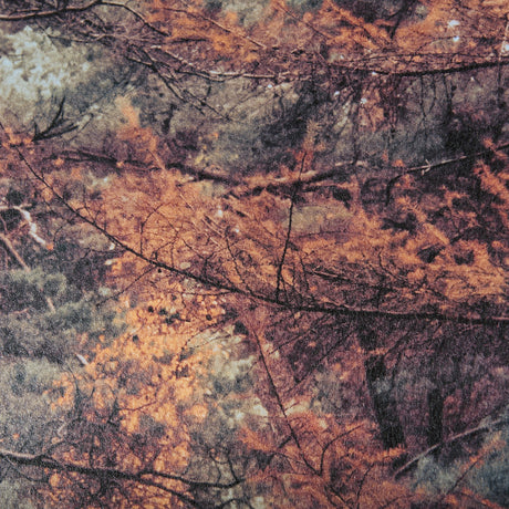 Forest Crossing by Mercana Studio a Hand Embellished Textured Framed Photo Art Print Matted under Gl by Mercana at Eve Furniture