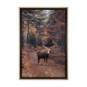 Forest Crossing by Mercana Studio a Hand Embellished Textured Framed Photo Art Print Matted under Gl by Mercana at Eve Furniture