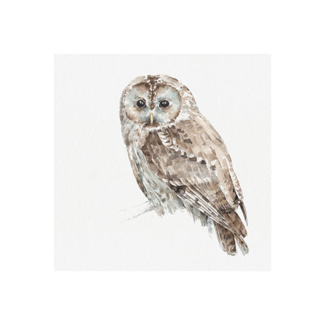 Forest Friends IX (Owl) by Lisa Audit a Hand Embellished Textured Canvas by Mercana at Eve Furniture
