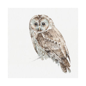 Forest Friends IX (Owl) by Lisa Audit a Hand Embellished Textured Canvas by Mercana at Eve Furniture