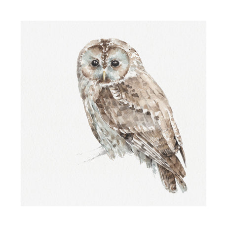 Forest Friends IX (Owl) by Lisa Audit a Hand Embellished Textured Canvas by Mercana at Eve Furniture