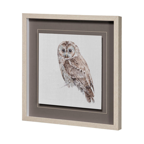 Forest Friends IX (Owl) by Lisa Audit Hand Embellished Textured Framed Art Print Matted under Glass by Mercana at Eve Furniture