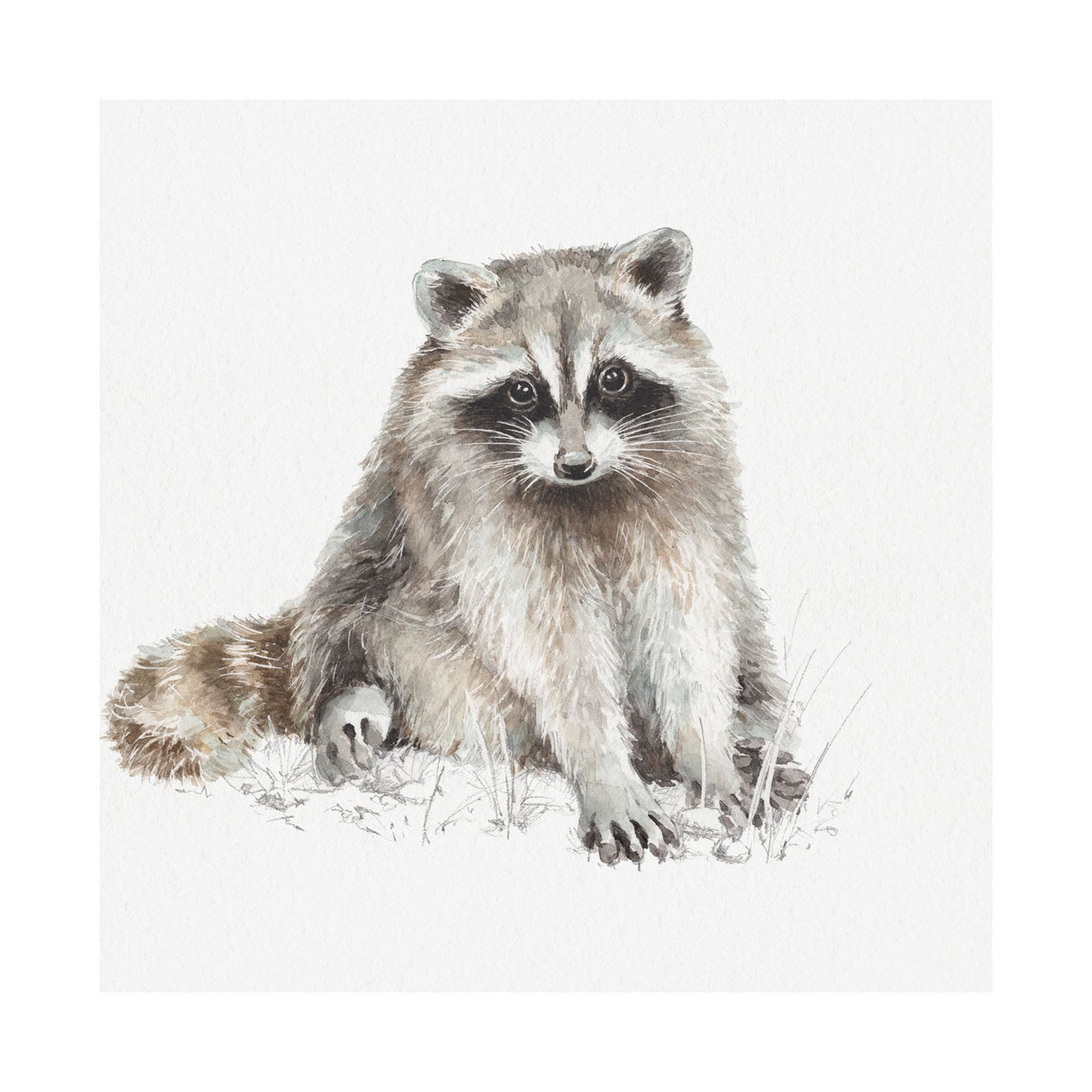 Forest Friends X (Racoon) by Lisa Audit a Hand Embellished Textured Canvas by Mercana at Eve Furniture
