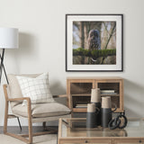 Forest Owl by Chad Mackay a Hand Embellished Textured Framed Photo Art Print Matted under Glass by Mercana at Eve Furniture